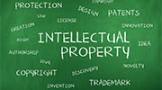 Barbados intellectual property rights investigator